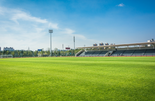 Dalymount Park: Long-awaited redevelopment set to be approved